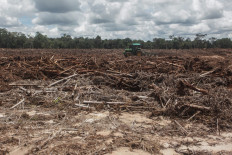 A worker plows land designated for a government food estate in Tewai Baru, Gunung Mas regency, Central Kalimantan, on March 6. 