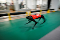 This picture taken on April 2, 2021 shows an AlphaDog quadruped robot running in a workshop at the Weilan Intelligent Technology Corporation in Nanjing, China's Jiangsu province. It's whip fast, obeys commands and doesn't leave unpleasant surprises on the floor -- meet the AlphaDog, a robotic response to two of China's burgeoning loves: pets and technology.