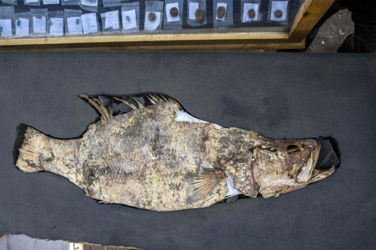 A picture taken on April 10, 2021, shows a fish covered in gold uncovered at the archaeological site of a 3000 year old city, dubbed The Rise of Aten, dating to the reign of Amenhotep III, uncovered by the Egyptian mission near Luxor. Archaeologists have uncovered the remains of an ancient city in the desert outside Luxor that they say is the 