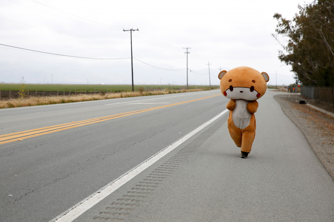 Temui pria berjas beruang yang berjalan dari Los Angeles ke San Francisco – Gaya hidup