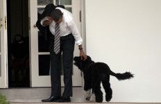  In this file photo taken on March 15, 2012, US President Barack Obama pets the family dog, Bo, upon his return to the White House in Washington, DC. Barack Obama's family dog Bo, who became a well-known resident of the White House, died on May 8, 2021 from cancer, the former president said, remembering him as 