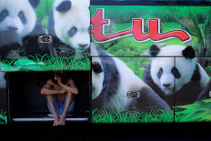 Quiet day: With no passengers in sight, Toni, a bus driver takes a break in the luggage compartment of his bus. 