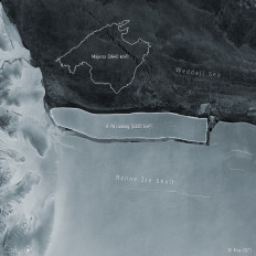  World's largest iceberg breaks off Antarctica: European Space Agency 