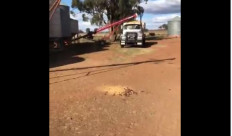 A screen grab from a cellphone video showing mice coming out of an auger.
