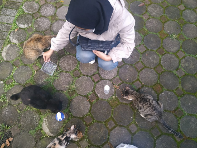 Feline friends: Bandung Institute of Technology (ITB) student Shelvi feeds stray cats.
