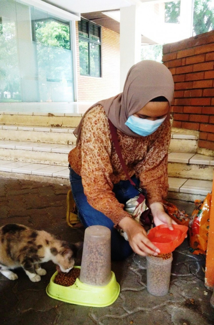 Feeding time: A University of Indonesia (UI) student feeds a stray cat. 