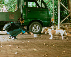 Tag Ugm The Jakarta Post<script async src=