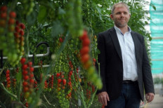 rench president of Saveol Pierre-Yves Jestin posing in Saveol experimental greenhouse in Guipavas, western France. Brittany became the first producer of tomatoes in France and represents almost a third of the 600 000 tons produced each year.
