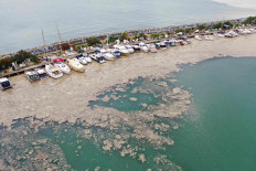 An aerial view shows a thick layer of sea snot", consisting of a wide variety of microorganisms, that covers the sea near the coast in the Bostanci harbour in Istanbul, Turkey.