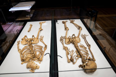  Two Viking relatives reunited in Denmark after 1,000 years 