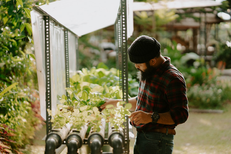 Green life: Gianjar tends to seedlings.