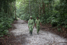 Gabon paid for protecting forests, in African first