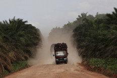 Trucks carry oil palm fruits on Dec. 19, 2015 as they drive through a plantation owned by PT Wanasawit Subur Lestari in Pangkalan Bun, Central Kalimantan.