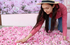 Ancient aromas aim to lure new crop of tourists to Cyprus