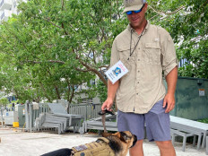 United Cajun Navy volunteer Patrick Williamson plays with his therapy dog Gracie in Surfside, Florida. An apartment tower suddenly collapsed last week. Scores of people missing, rescuers comb through the rubble of the 12-story building in hopes of finding survivors.
