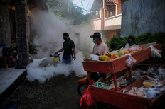 Ministry releases modified mosquitoes to curb dengue fever