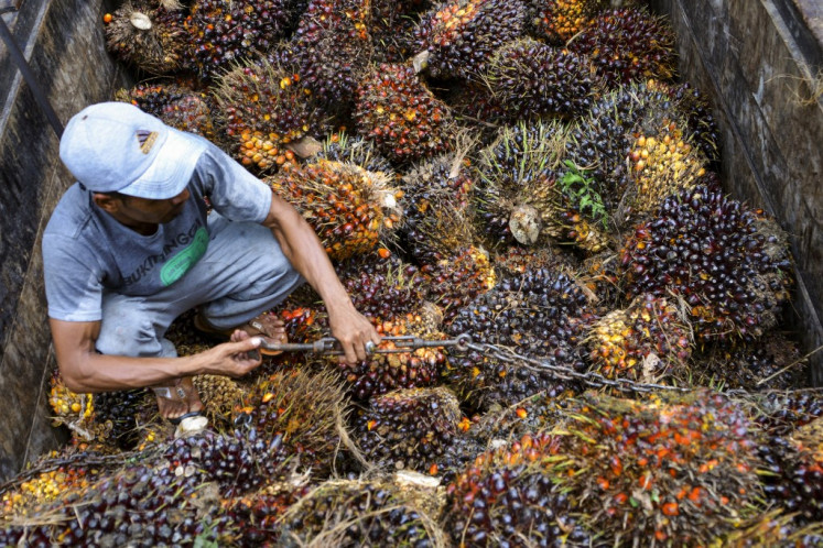A worker loads bunches of oil palm fruit onto a truck at a plantation in Nagan Raya, Aceh, on August 16, 2019.