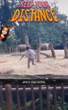 Teen who backflipped with rhinos at Singapore Zoo charged with trespass