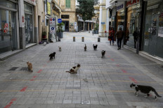 Despite ancient cat connections, Cyprus is swamped with strays