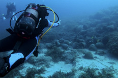 Scuba divers visit the underwater museum in the Aegean Sea, off the coast of the Greek island Alonissos on July 20, 2021. Resting at a near 30 meter depth for almost 2,500 years the Peristera shipwreck opened to recreational scuba divers during the summer of 2020.