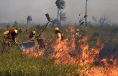 Forest fires in Bolivia consume vast area: official