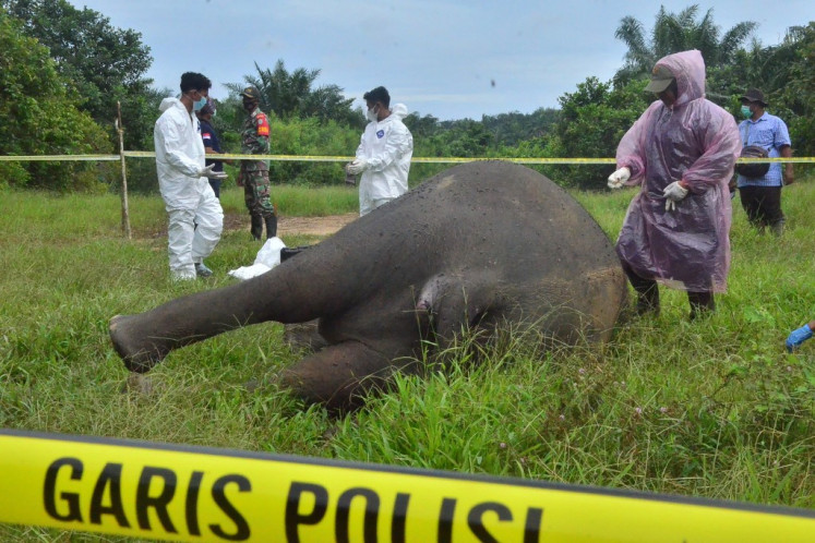 Officials work at the scene on July 12, 2021, where a critically endangered Sumatran elephant was found decapitated with its tusks missing in Banda Alam, East Aceh.