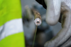 A picture taken on March 1, 2016 shows the very high speed submarine cable "SEA-ME-WE 5" linking Singapore to France, during its installation on March 1, 2016 in La Seyne-sur-Mer, southern France. With four optical fibers and 20,000 kilometers long, the cable connects 17 different countries.