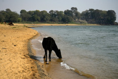 South America's Parana river is drying up, baffling experts