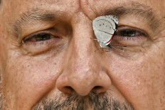 Colombian photographer documents world's largest variety of butterflies