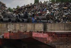 Social cost of 2019's plastic more than GDP of India: WWF