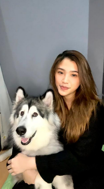 Famous Alaskan: Angela routinely takes pictures and videos of her beloved Alaskan Malamute, Kaori, to her hundreds of thousands of followers. Courtesy of Angela Benita Budiman.
