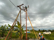 PLN technicians provide electricity to power a food estate in Central Kalimantan. 