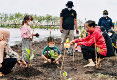 President Joko “Jokowi” Widodo plants mangroves with the community at Raja Kecik Beach, Bengkalis regency, Riau, on Sept. 28, accompanied by the environment and forestry minister and Mangrove and Peatland Restoration Agency (BRGM) head.