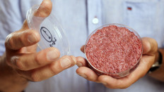 Lab-grown meat: How to reduce meat without refusing it