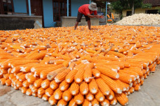 A new momentum in transforming agrifood systems in the march to ending hunger