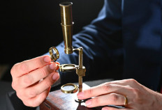 James Hyslop, Head of Scientific Instruments, Globes and Natural History at Christie's, demonstrates the Darwin Family Microscope, owned and used by the English naturalist and founder of the concept of evolution, Charles Darwin, which will be offered at auction as part of Christie's Classic Week, London, Britain, October 14, 2021. 



