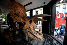 A woman and a child walk past a gallery where a triceratops stands on a metal frame, set to be exposed ahead of its auction sale at Drouot auction house in October, in Paris on August 31, 2021.