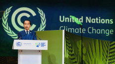 Jokowi signs carbon-pricing regulation