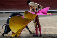 Peru's bullfighter Andres Roca Rey, performs during the 'Senor de los Milagros' festival at the Acho bullring in Lima on December 4, 2016.