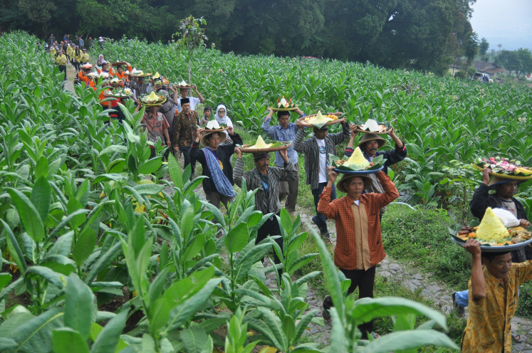 The last rung: Tobacco farmers often feel like they are at the bottom rung of the tobacco industry.