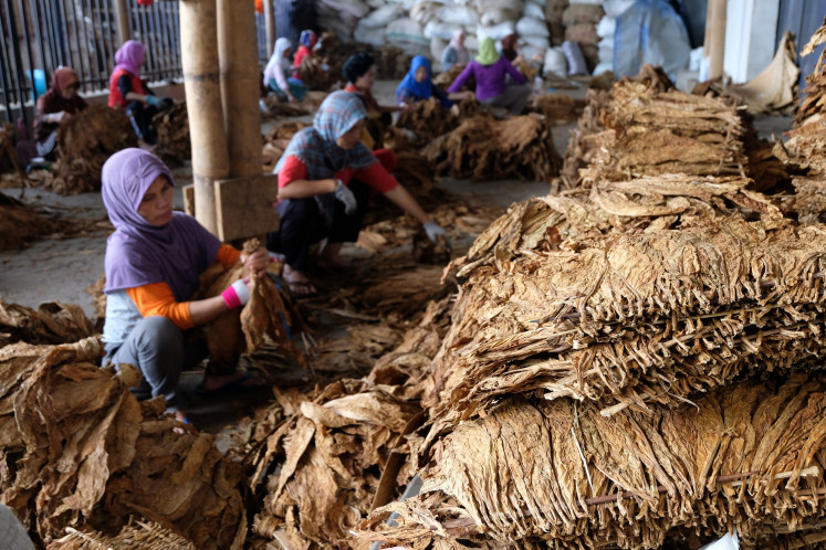 No choice: Tobacco farmers allege that intermediate buyers exacerbate their plight because farmers have no choice but to accept any price they offered.