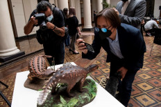 People take pictures of models of a Stegouros elengassen, a new species of non-avian dinosaur which remains were discovered intact in the Patagonia, as its remains are displayed in Santiago on December 1, 2021. 