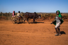  Global warming not responsible for Madagascar famine: study 