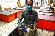 Taiwan rushes to contain sudden cane toad invasion