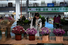 Asia's biggest flower market makes stars out of influencers