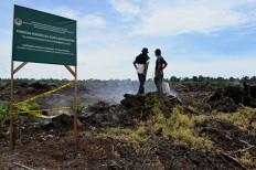 Moratorium izin perkebunan sawit bukan solusi deforestasi