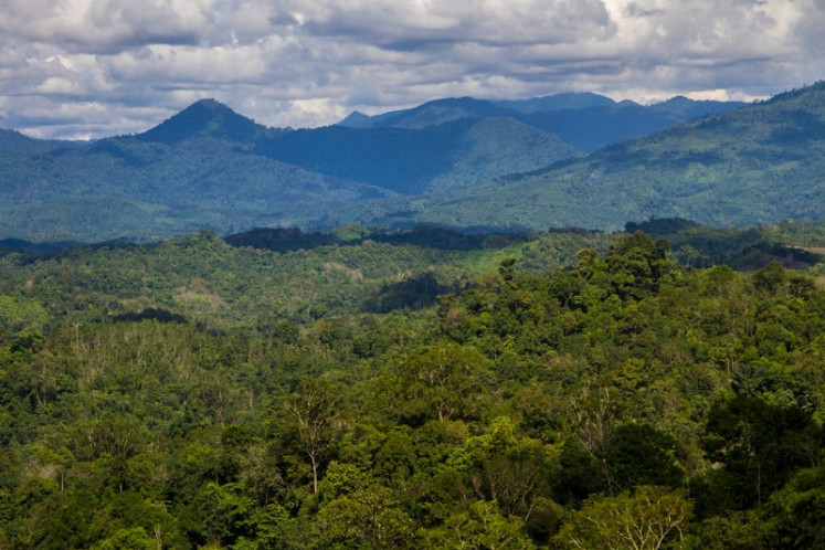 Precious asset: A forest area near Mount Meratus in South Kalimantan is seen from Hinas Kanan village on Nov. 25. The local forestry authorities have admitted to losing 30,000 hectares of forest to mining and plantation industries in the last three years.