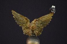 Birdwatchers flock for glimpse of rare snowy owl in US capital 