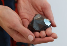 Black diamond, largest ever cut, goes on show in Dubai 