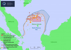 The detection of Vietnamese foreign fishing vessels in the North Natuna Sea throughout 2021.